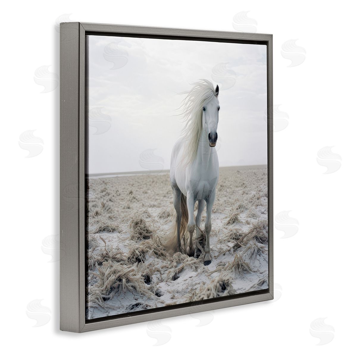 Ray Powers Windswept Beach Horse Gray Floating Frame Canvas Wall Art Print