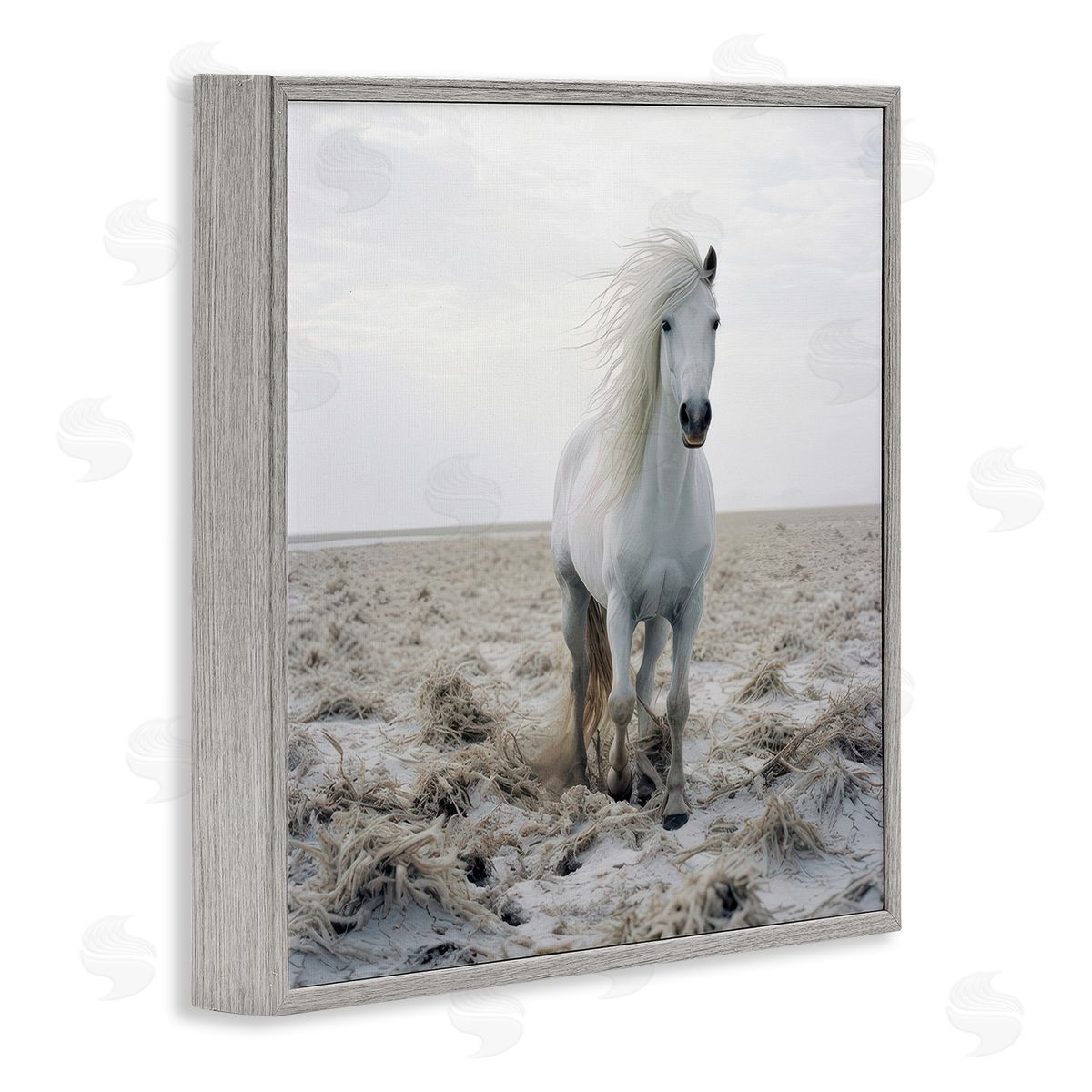 Ray Powers Windswept Beach Horse Gray Framed Giclee Wall Art Print