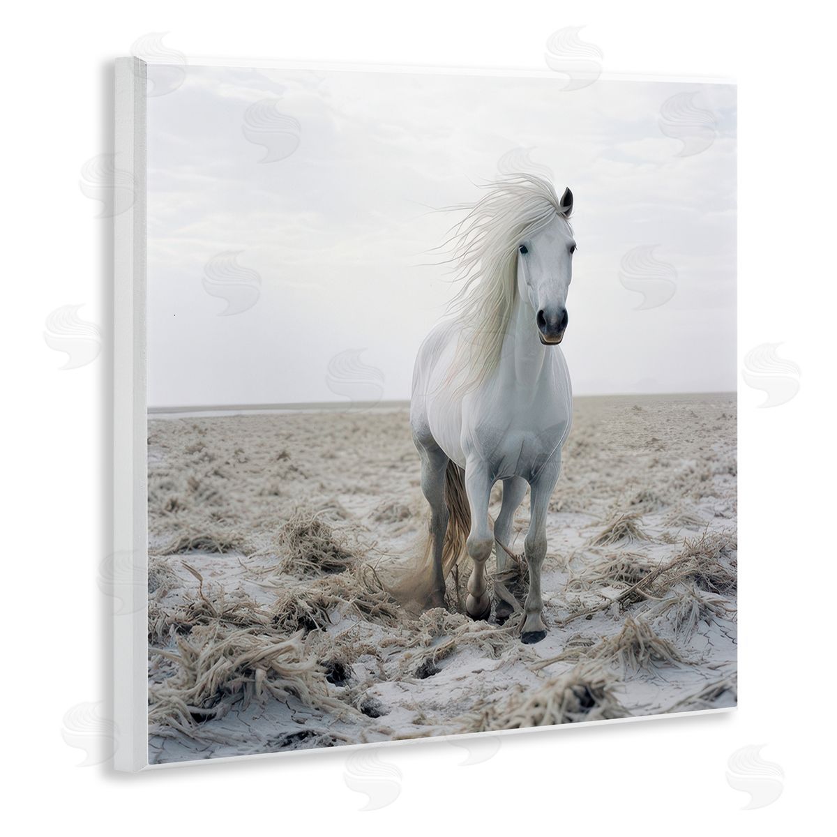 Ray Powers Windswept Beach Horse Wooden Wall Plaque Art Print