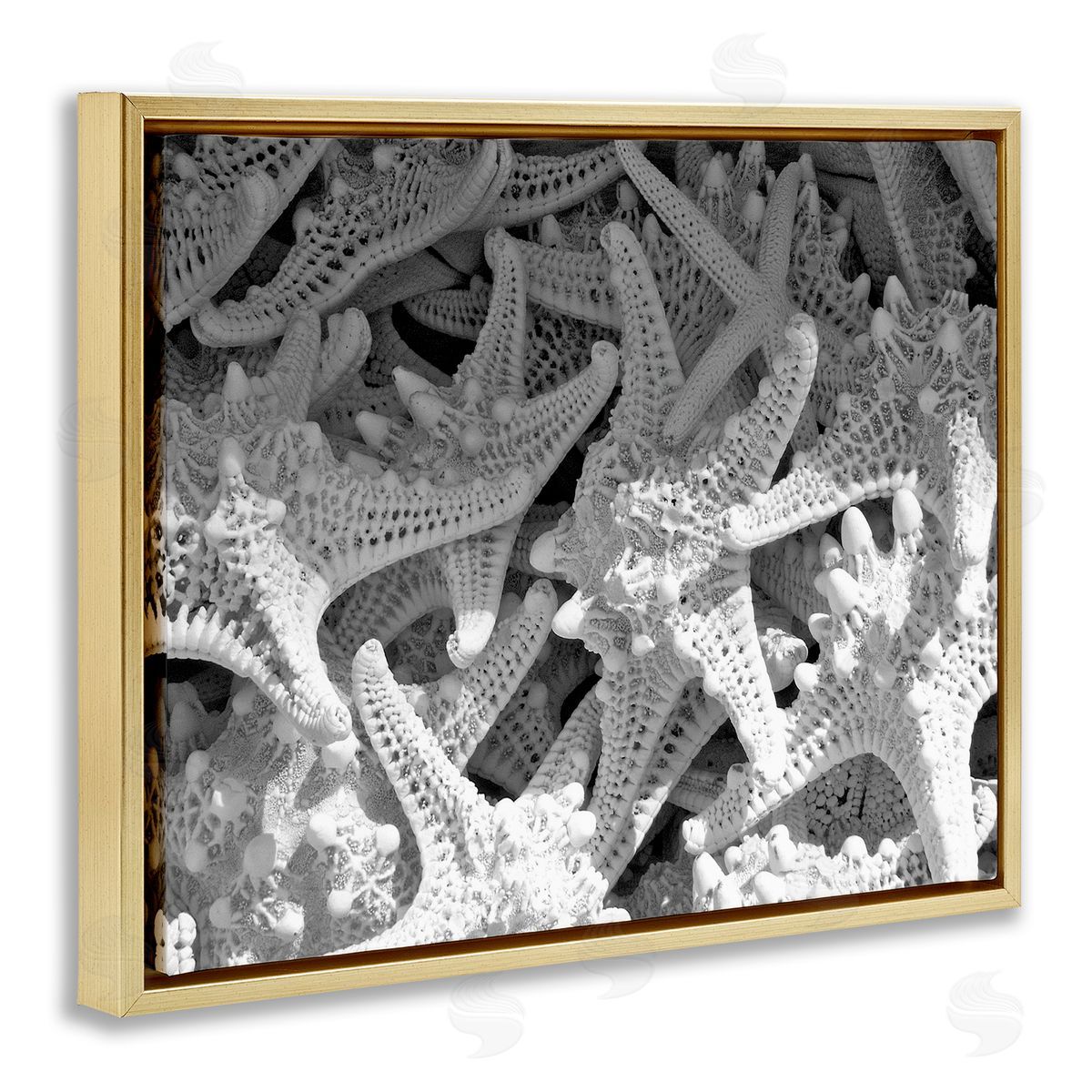 Nautical Starfish Pile Gold Floating Frame Canvas Wall Art, Home Decor by Jairo Rodriguez