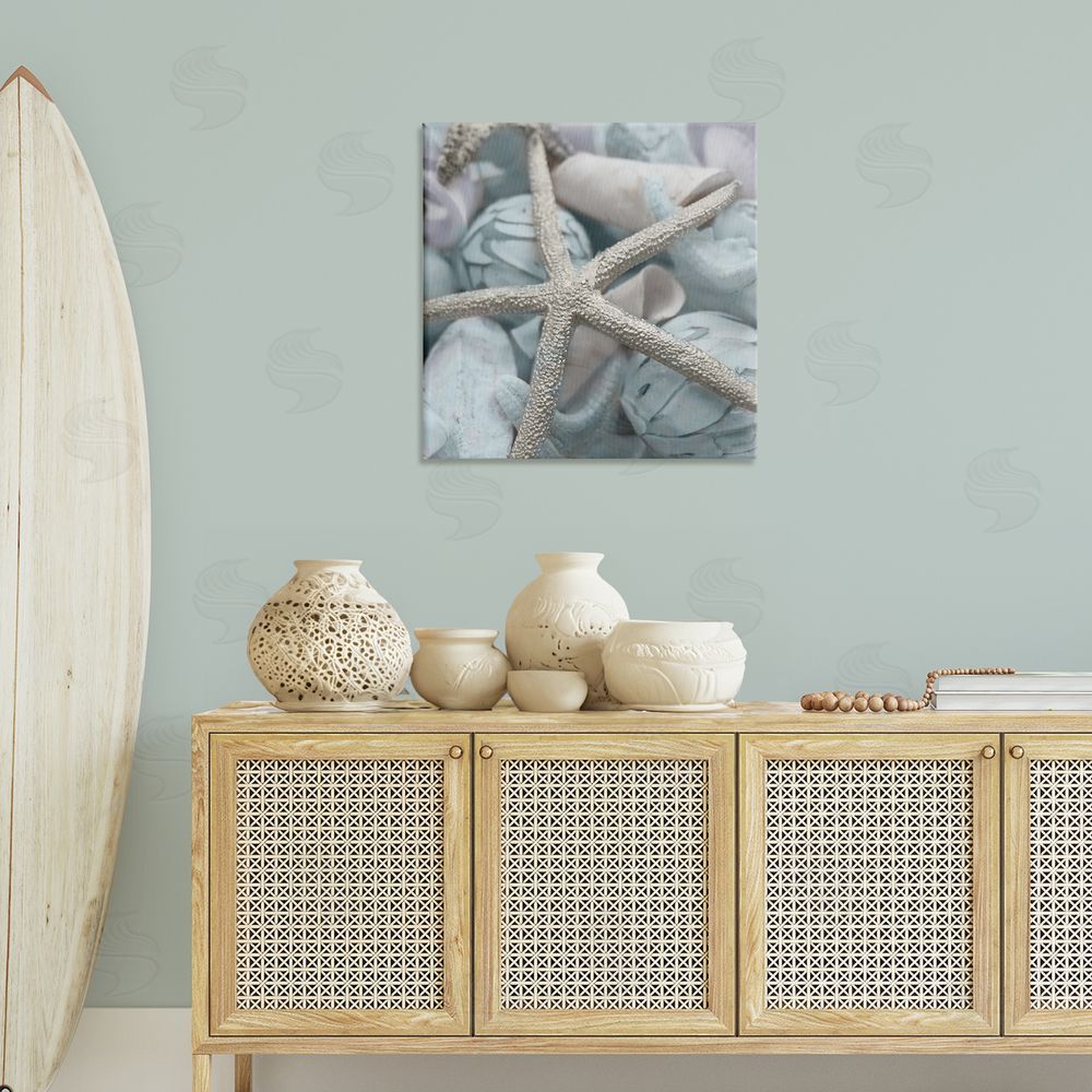 Susan Bryant Starfish & Various Shells Canvas Wall Art Print in Room