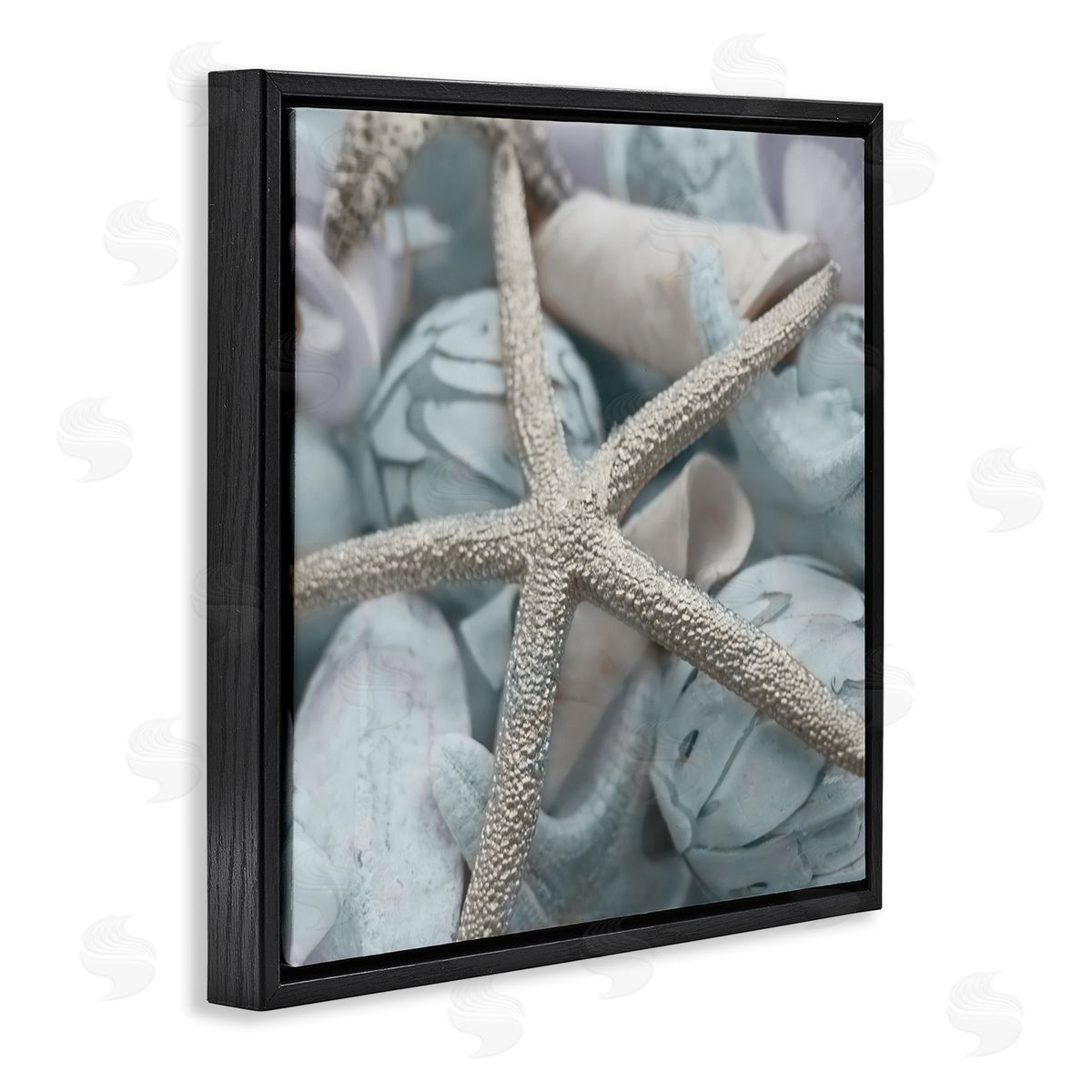 Susan Bryant Starfish & Various Shells Black Floating Frame Canvas Wall Art Print