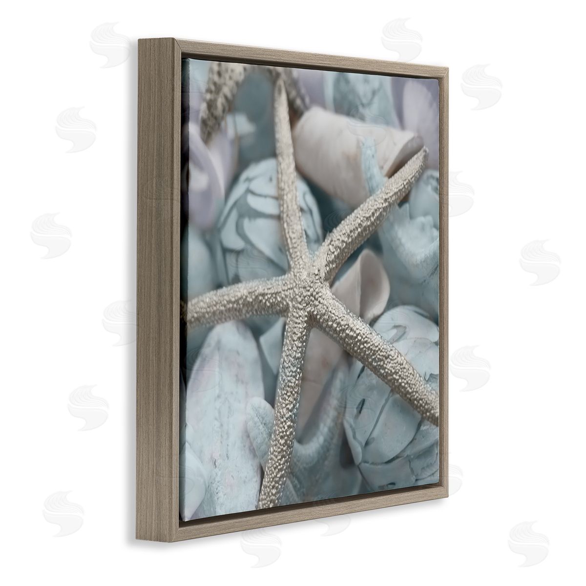Susan Bryant Starfish & Various Shells Brown Floating Frame Canvas Wall Art Print
