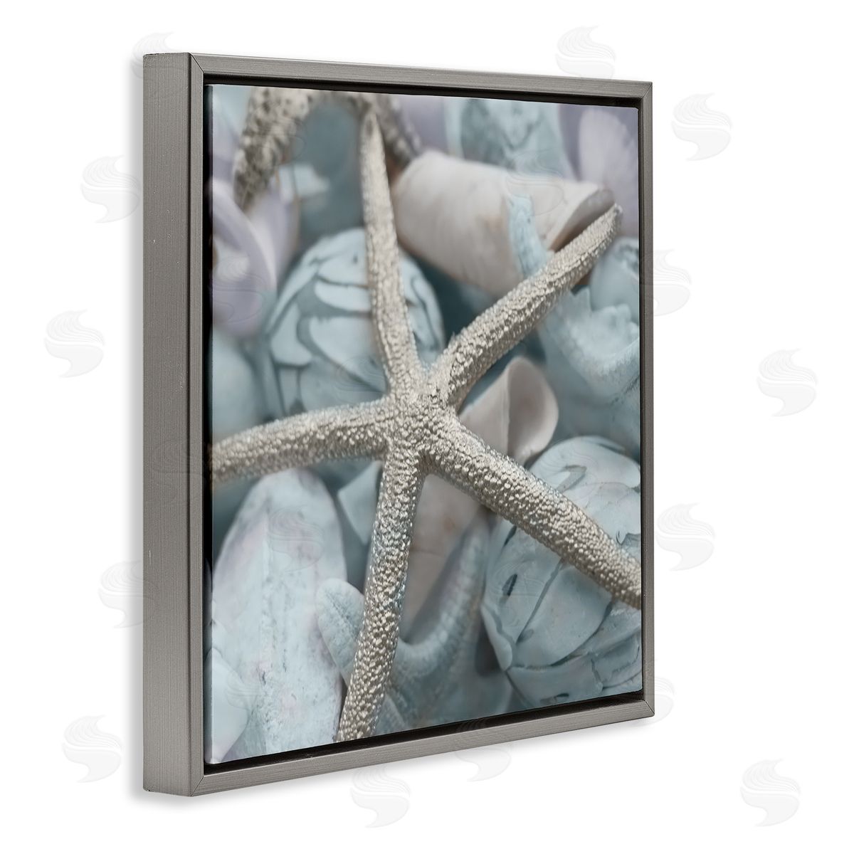 Susan Bryant Starfish & Various Shells Gray Floating Frame Canvas Wall Art Print