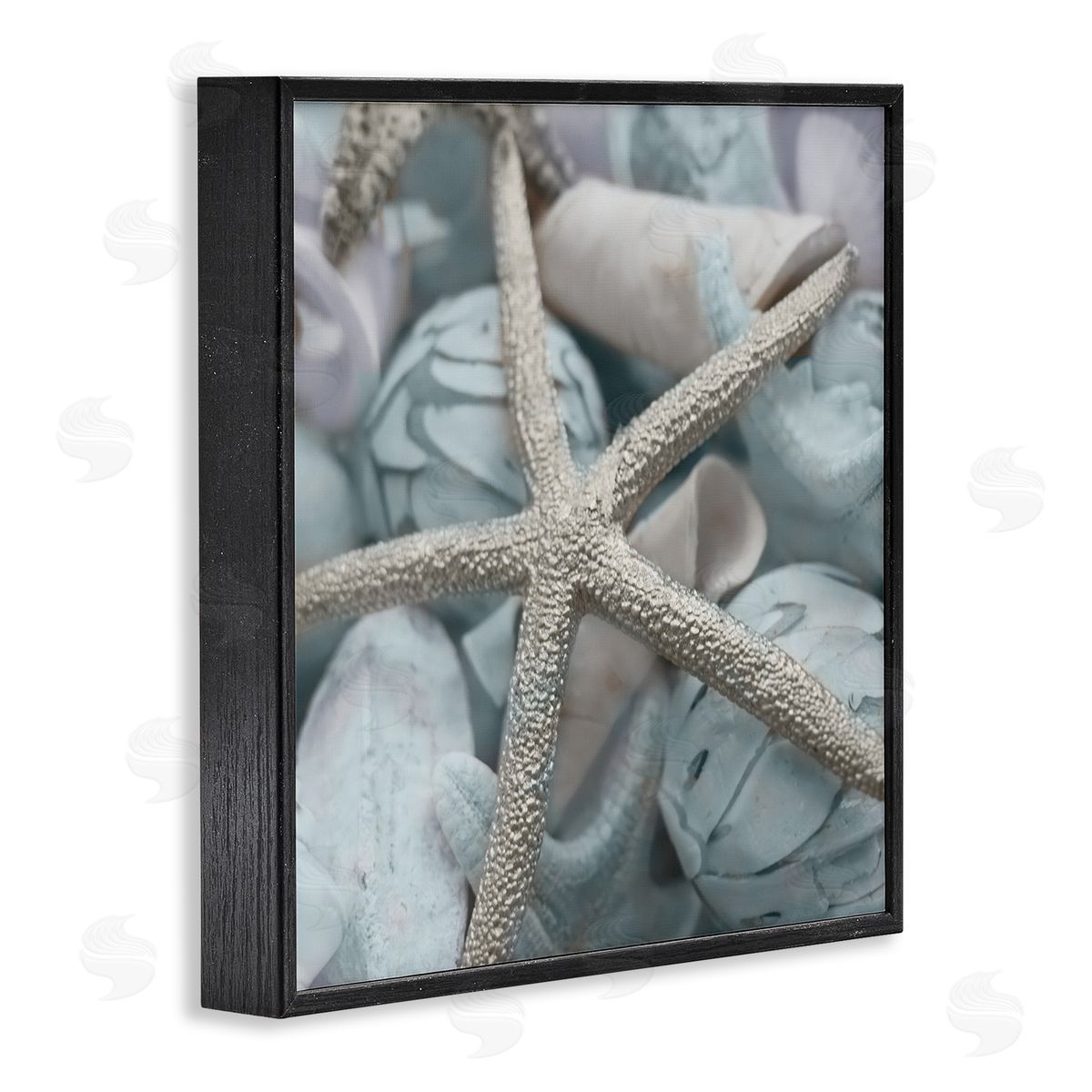 Susan Bryant Starfish & Various Shells Black Framed Giclee Wall Art Print