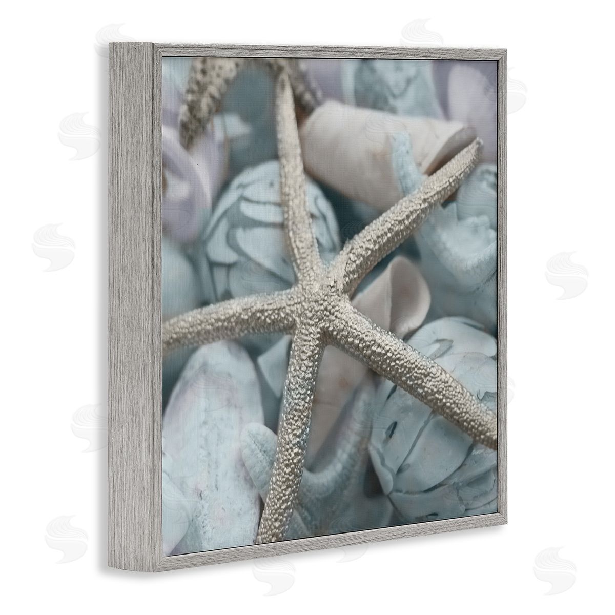 Susan Bryant Starfish & Various Shells Gray Framed Giclee Wall Art Print