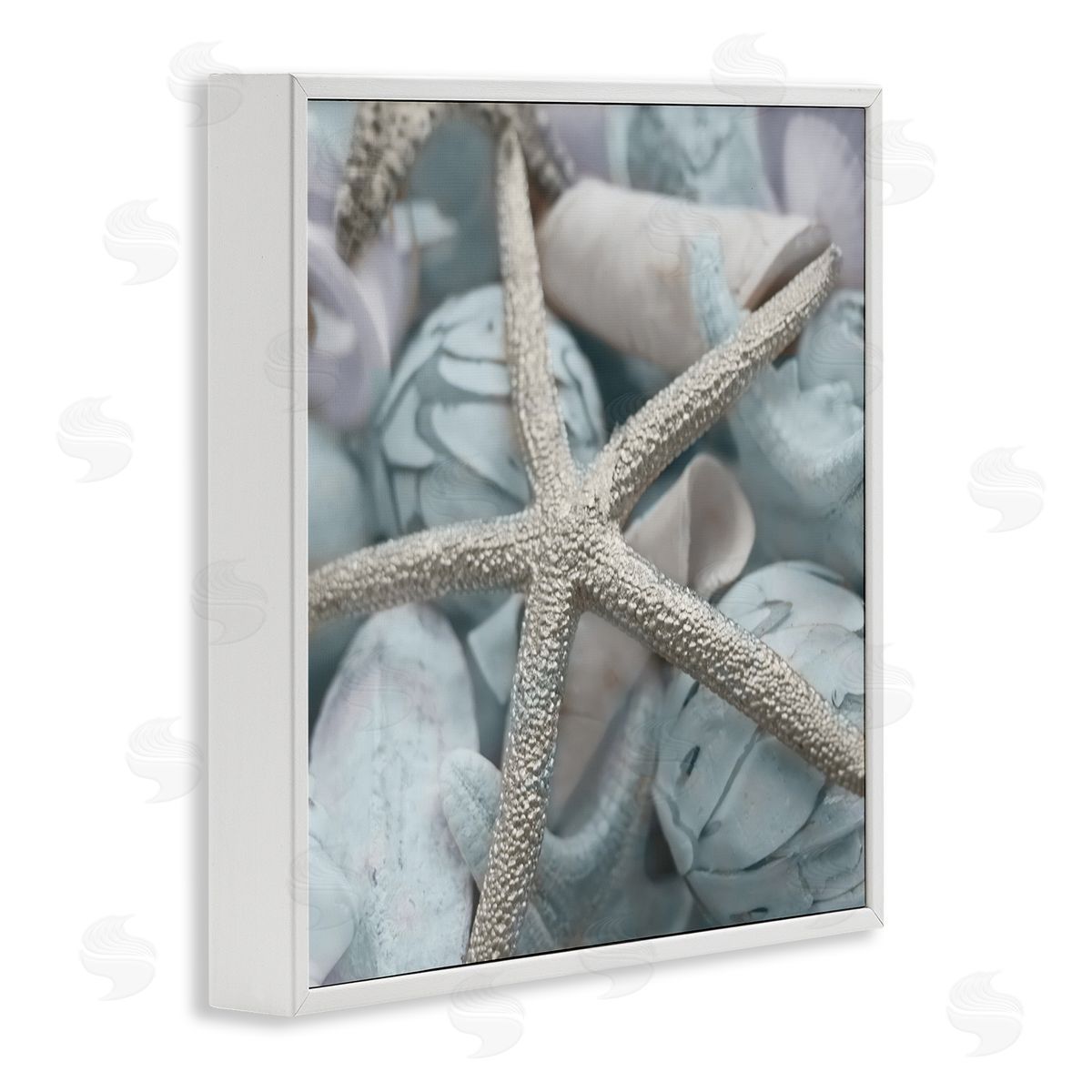 Susan Bryant Starfish & Various Shells White Framed Giclee Wall Art Print
