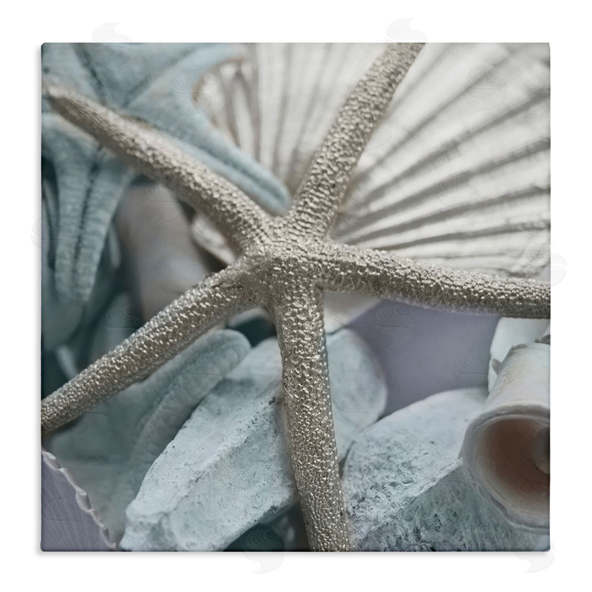 Susan Bryant Seashells & Starfish Canvas Wall Art Print
