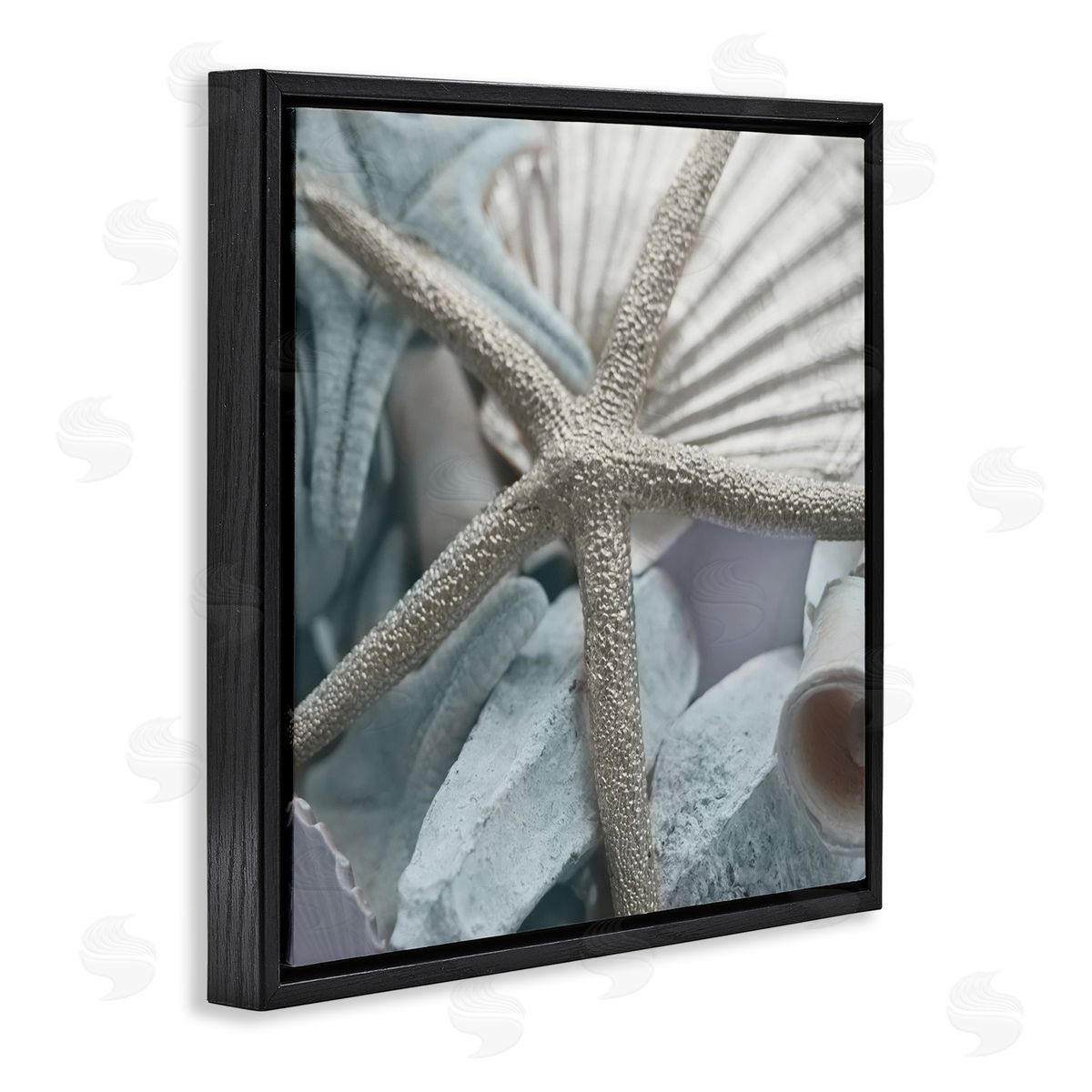 Susan Bryant Seashells & Starfish Black Floating Frame Canvas Wall Art Print