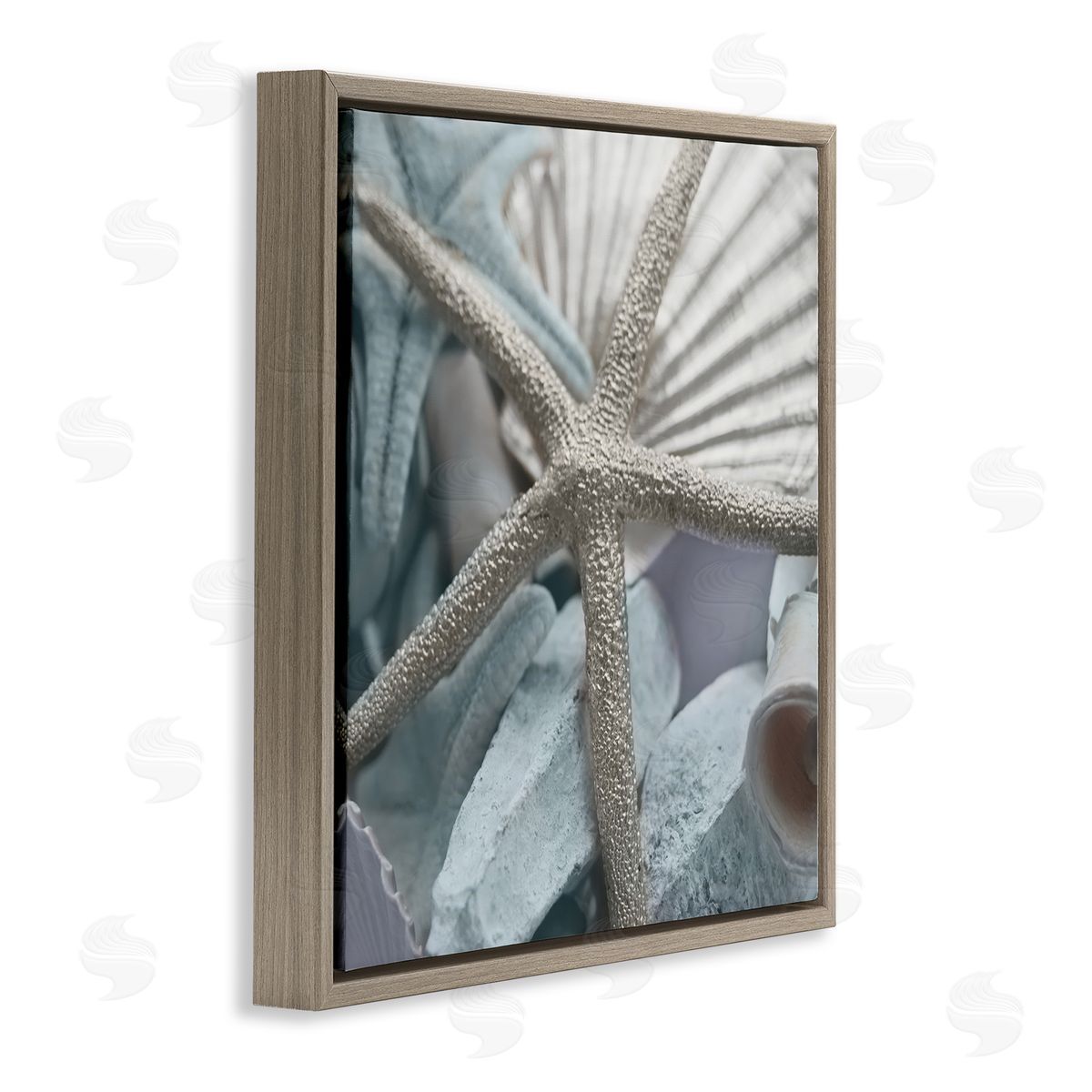 Susan Bryant Seashells & Starfish Brown Floating Frame Canvas Wall Art Print
