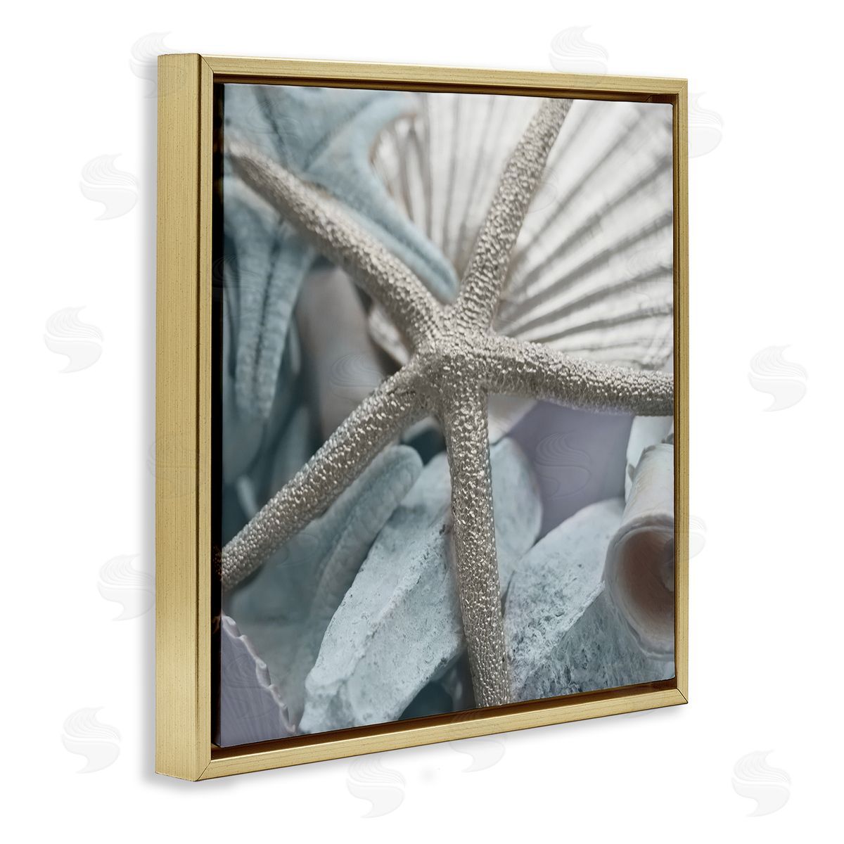 Susan Bryant Seashells & Starfish Gold Floating Frame Canvas Wall Art Print