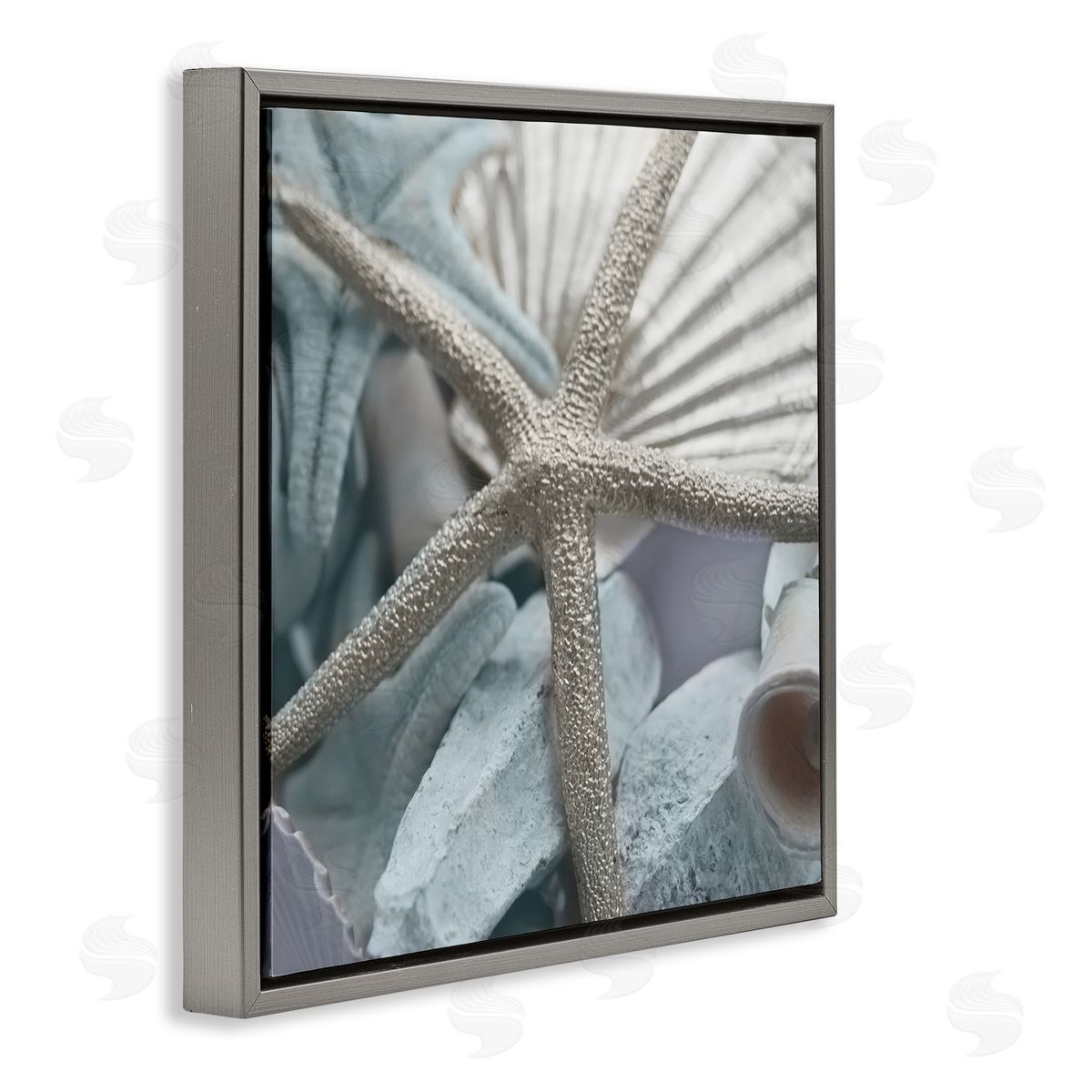 Susan Bryant Seashells & Starfish Gray Floating Frame Canvas Wall Art Print