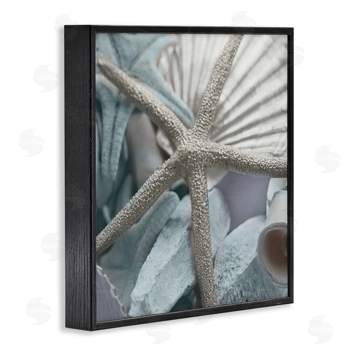 Susan Bryant Seashells & Starfish Black Framed Giclee Wall Art Print