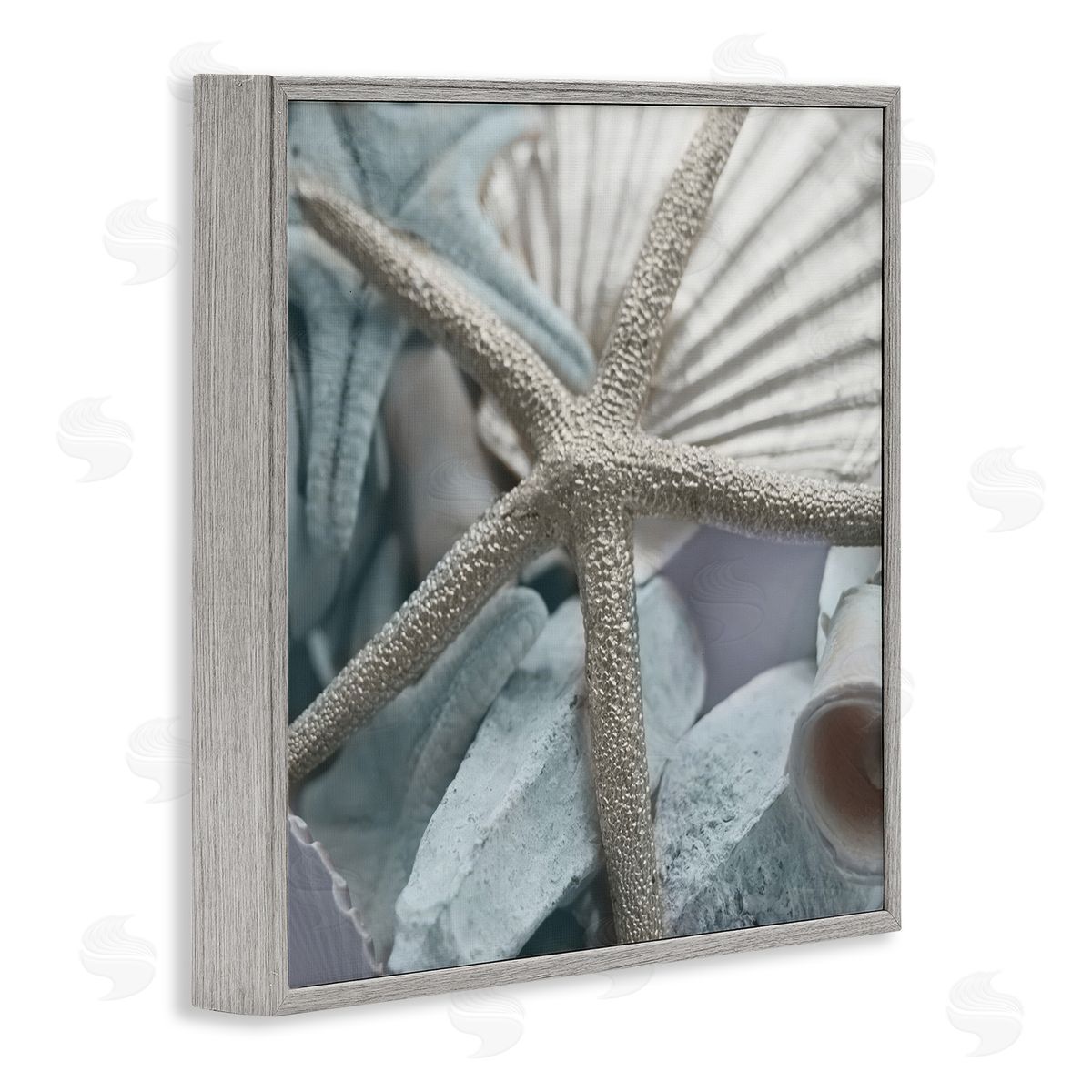 Susan Bryant Seashells & Starfish Gray Framed Giclee Wall Art Print