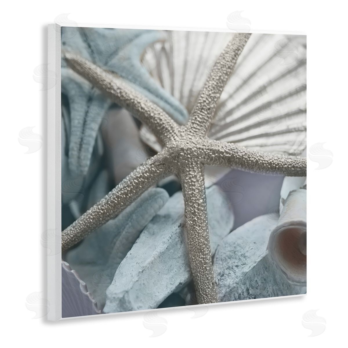 Susan Bryant Seashells & Starfish Wooden Wall Plaque Art Print