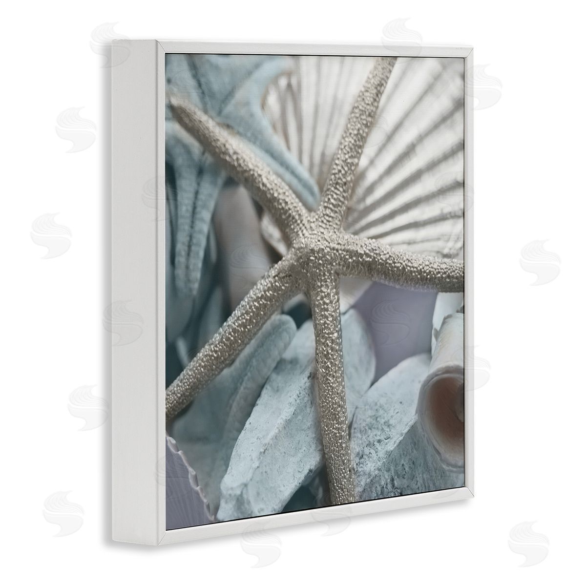 Susan Bryant Seashells & Starfish White Framed Giclee Wall Art Print
