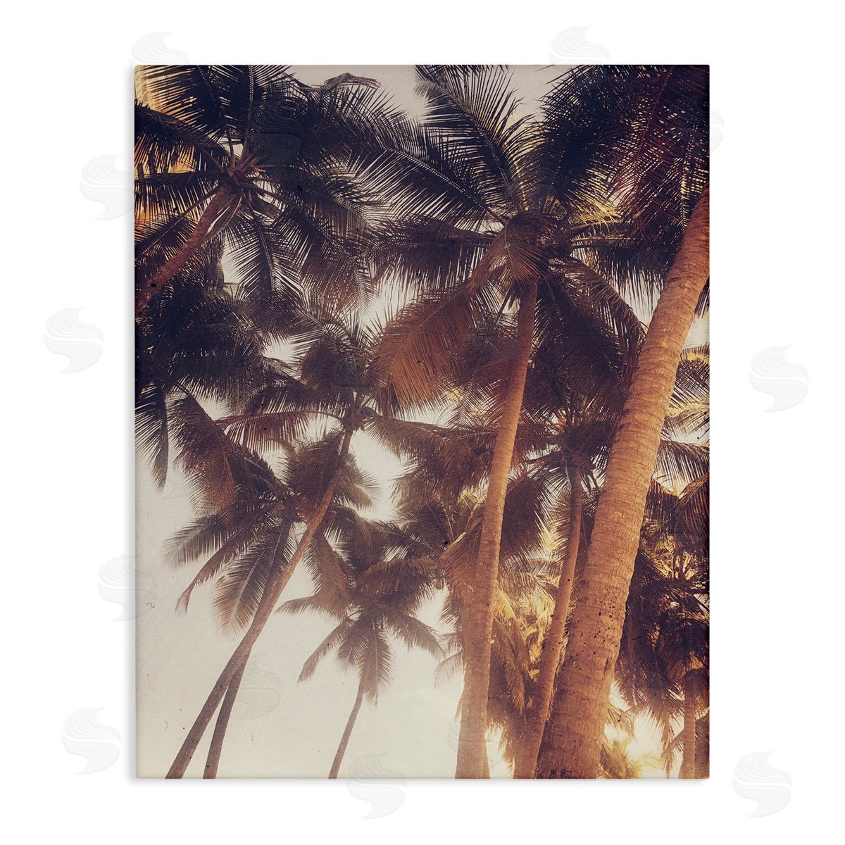 Acosta Sunlit Palm Tree Canvas Wall Art Print