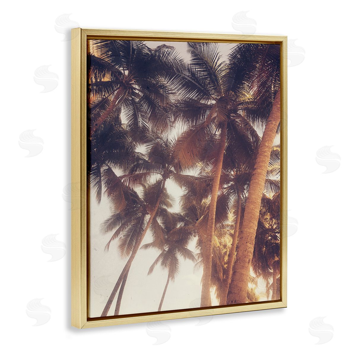 Acosta Sunlit Palm Tree Gold Floating Frame Canvas Wall Art Print