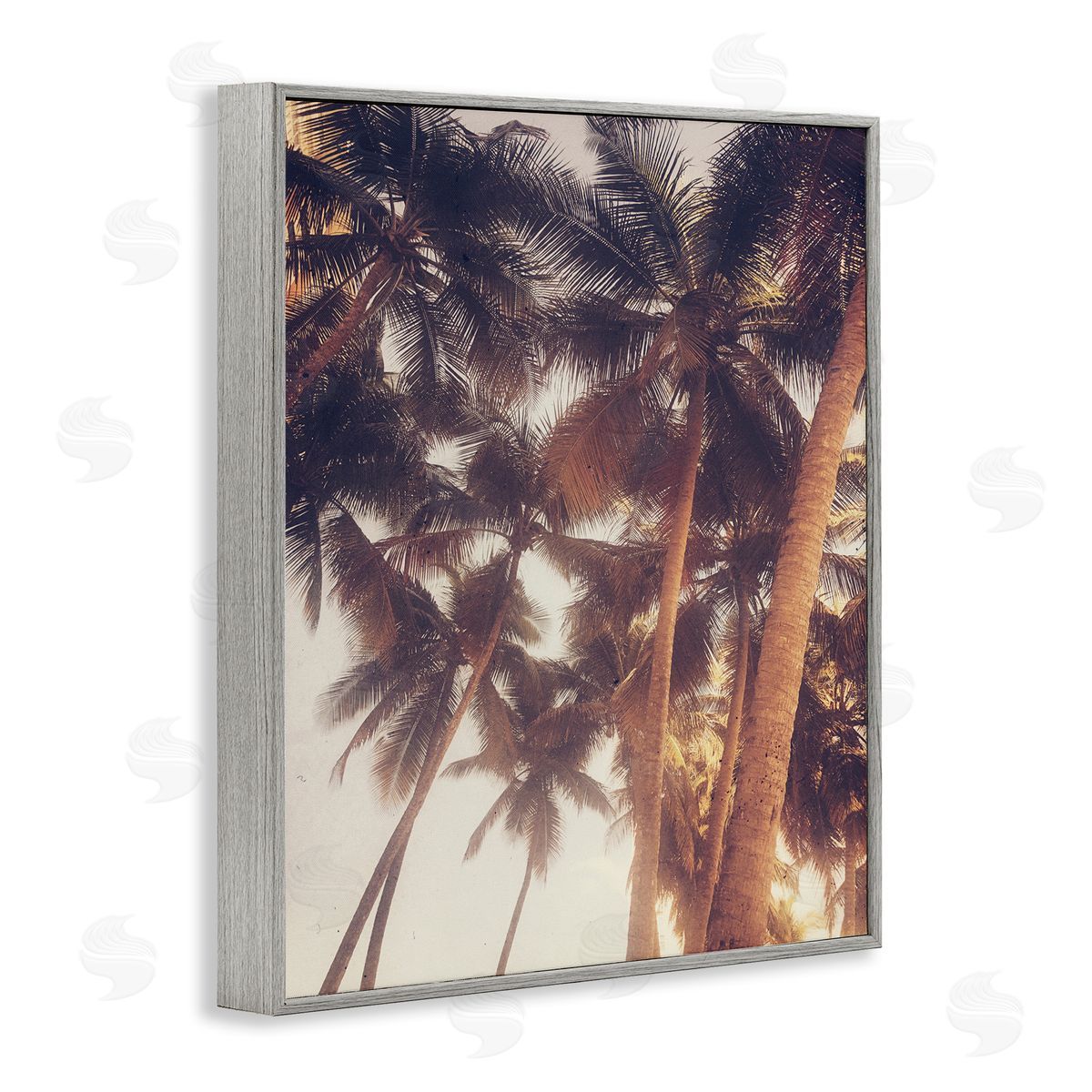 Acosta Sunlit Palm Tree Gray Framed Giclee Wall Art Print