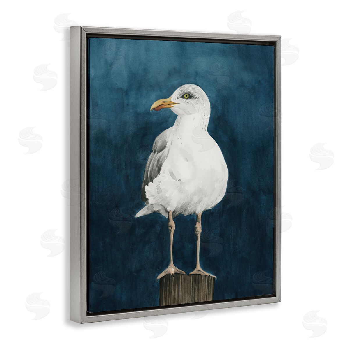 Grace Popp Perched Coastal Bird Gray Floating Frame Canvas Wall Art Print