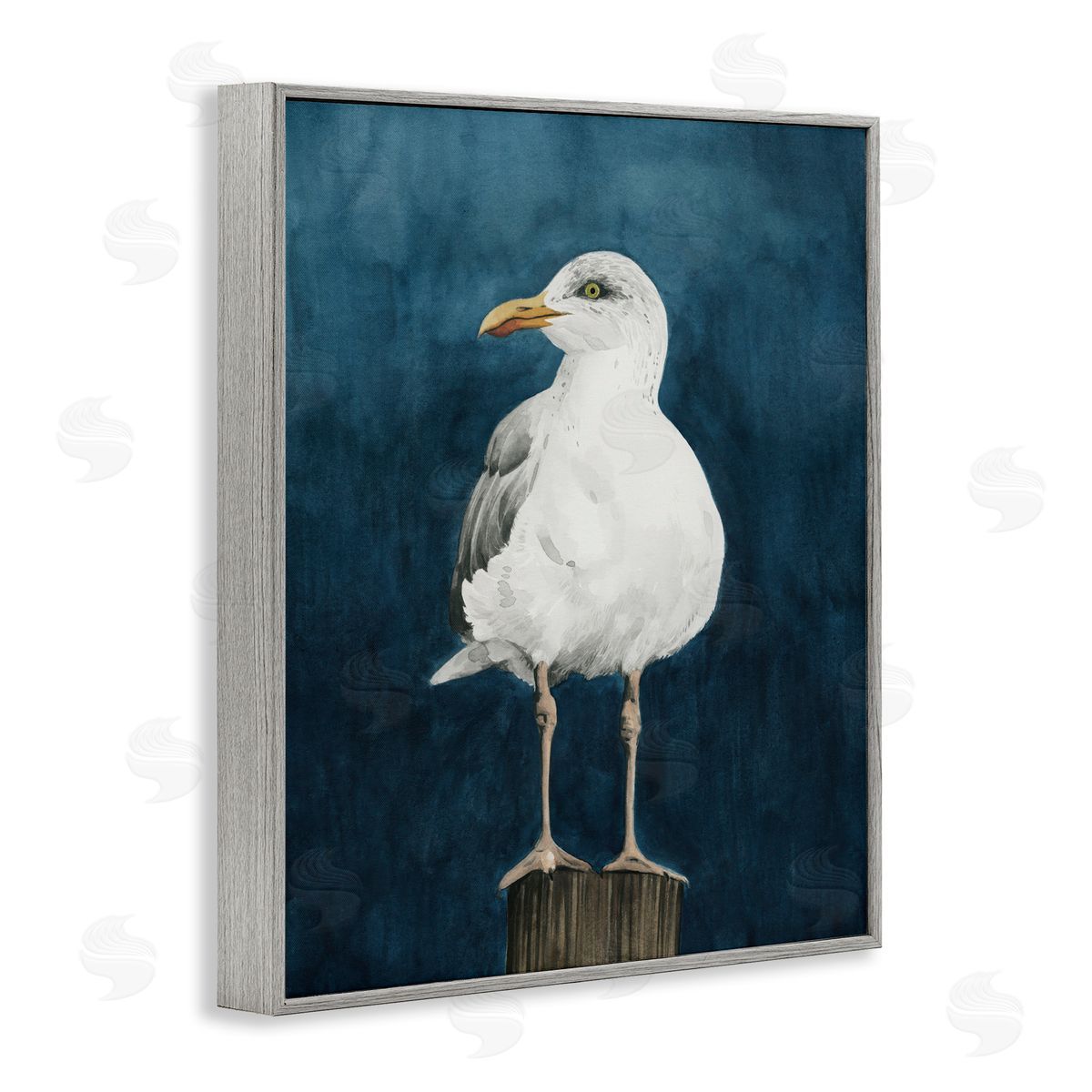 Grace Popp Perched Coastal Bird Gray Framed Giclee Wall Art Print