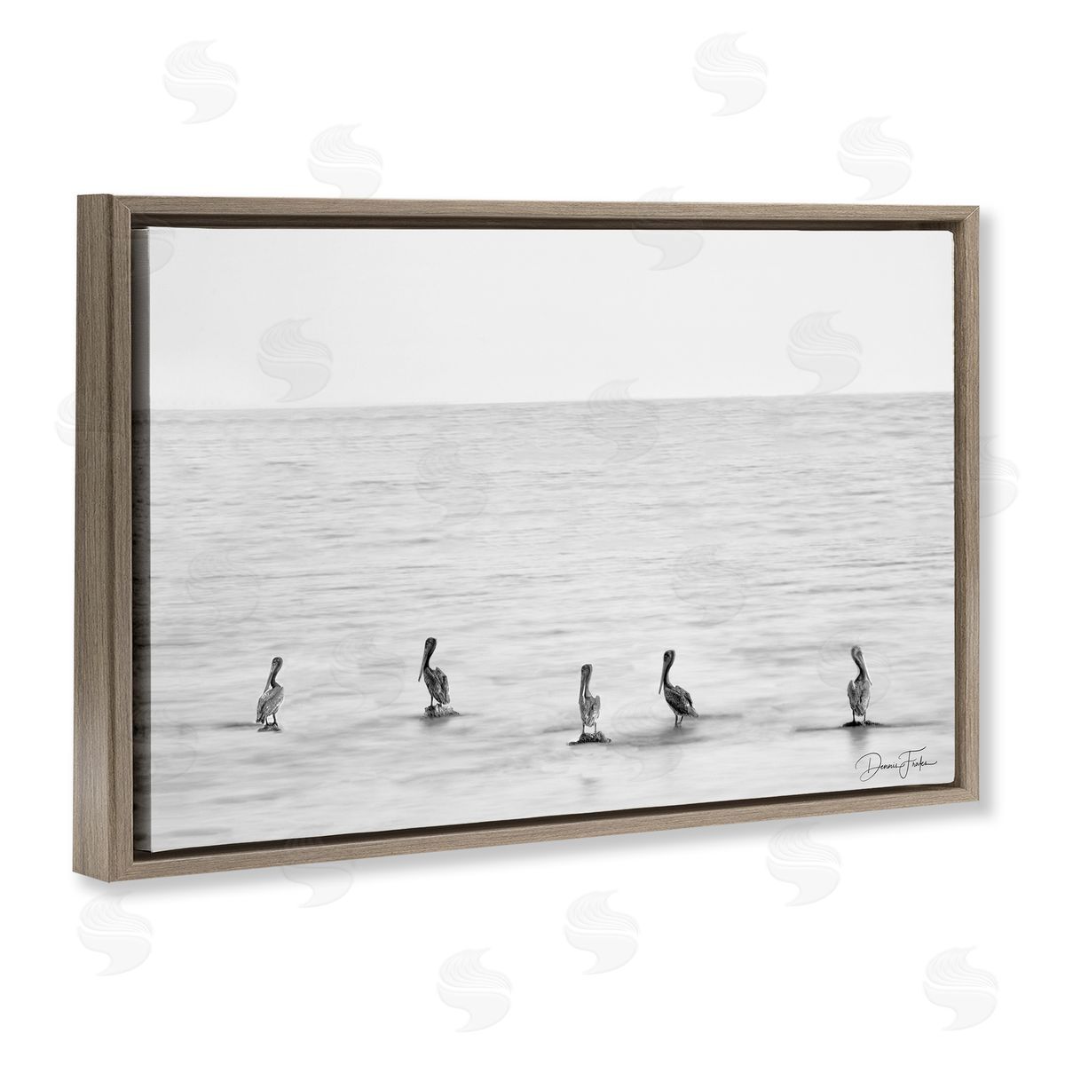 Pelicans on Shore Brown Floating Frame Canvas Wall Art, Home Decor by Dennis Frates