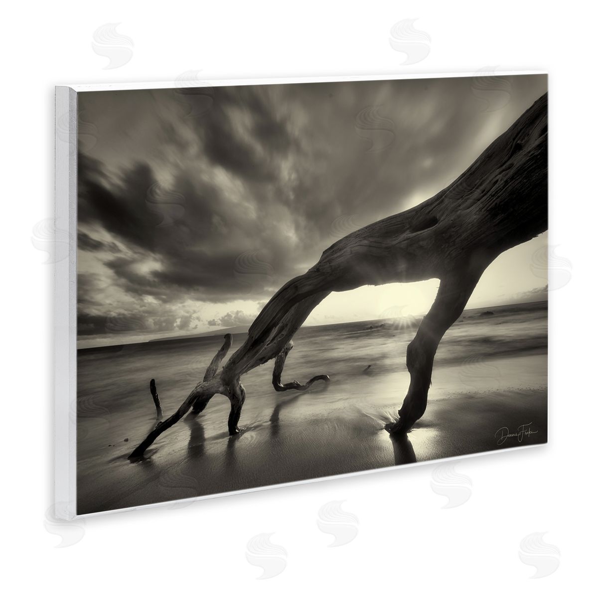 Tree Trunk on Shore Wood Plaque Wall Art, Home Decor by Dennis Frates