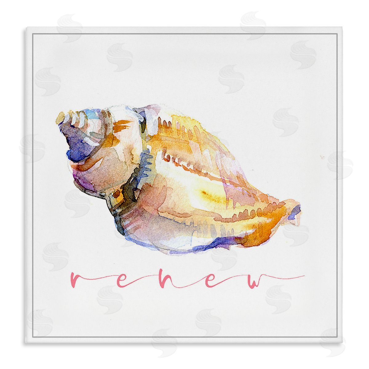John Keeling Conch Shell Renew Canvas Wall Art Print