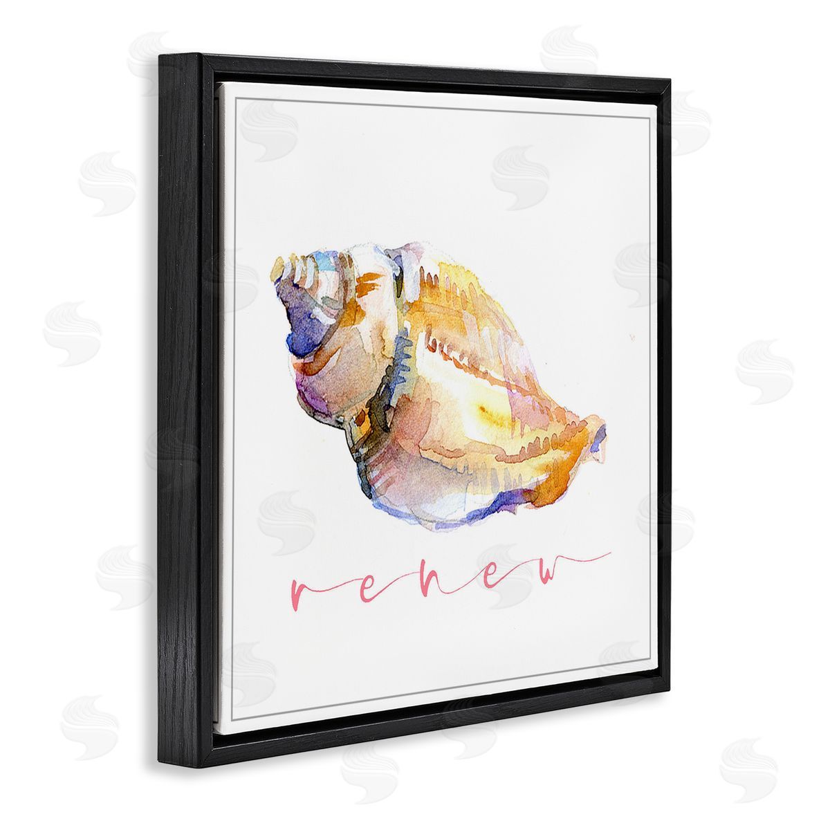 John Keeling Conch Shell Renew Black Floating Frame Canvas Wall Art Print
