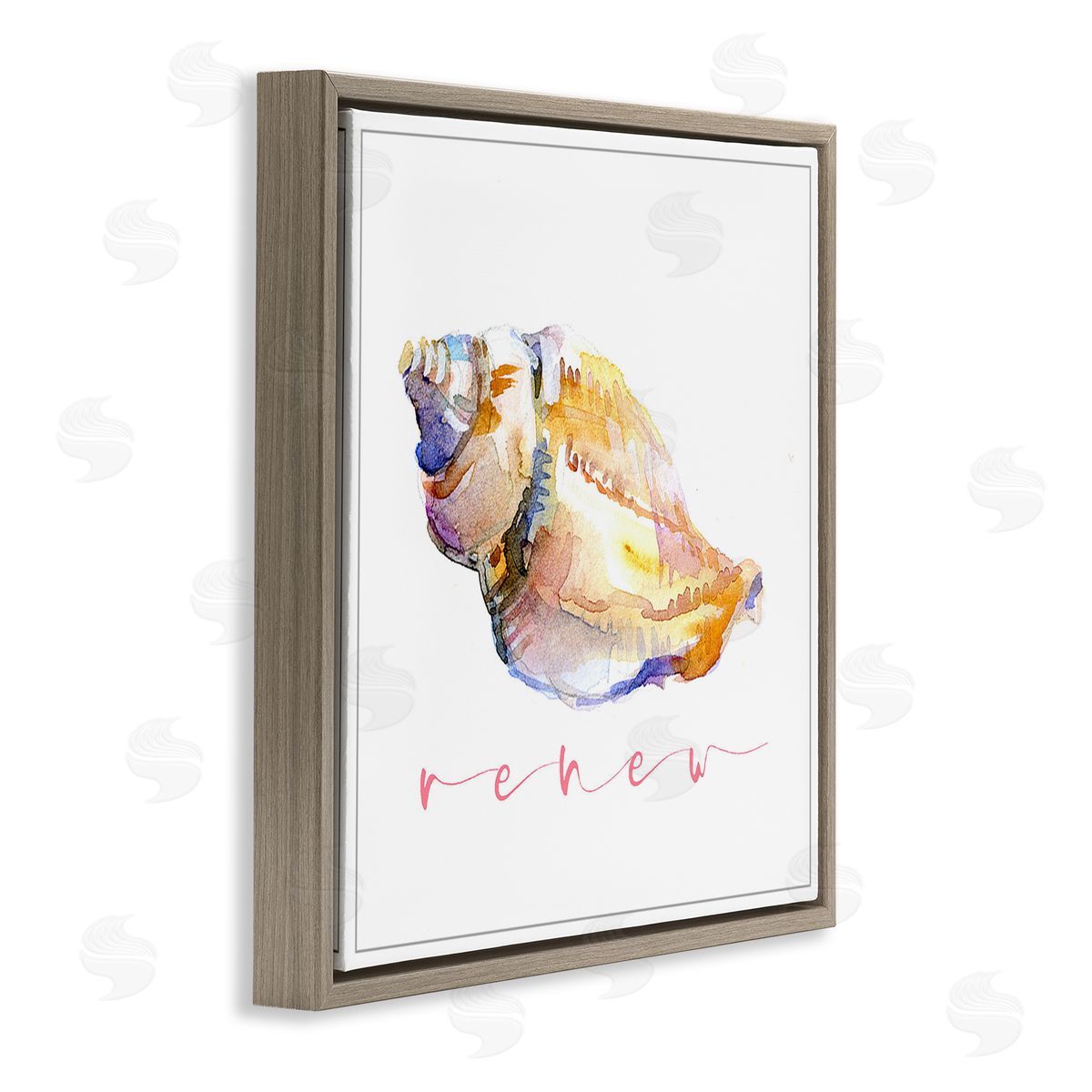 John Keeling Conch Shell Renew Brown Floating Frame Canvas Wall Art Print
