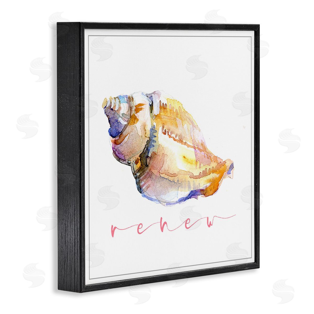 John Keeling Conch Shell Renew Black Framed Giclee Wall Art Print