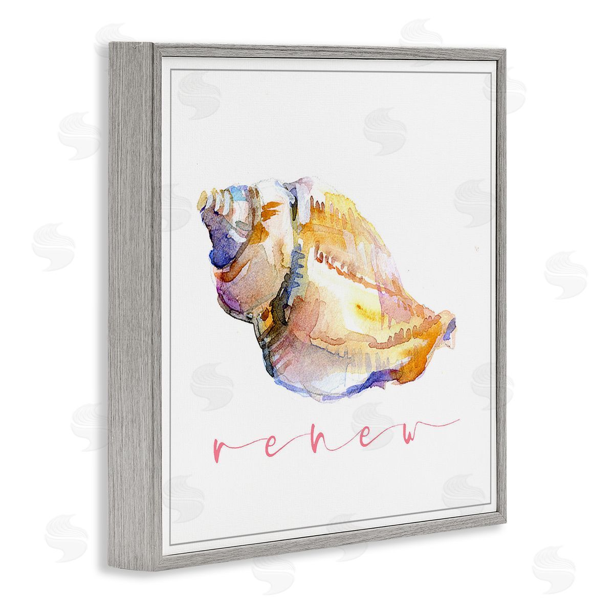 John Keeling Conch Shell Renew Gray Framed Giclee Wall Art Print