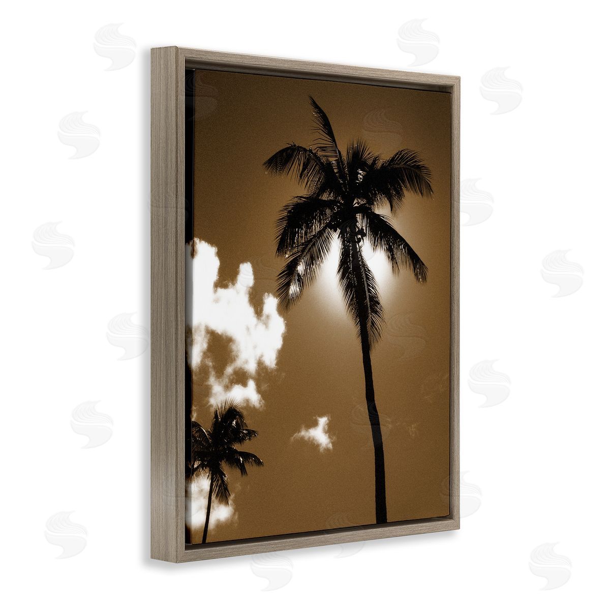 Sunlight Through Palms Brown Floating Frame Canvas Wall Art, Home Decor by Noah Bay