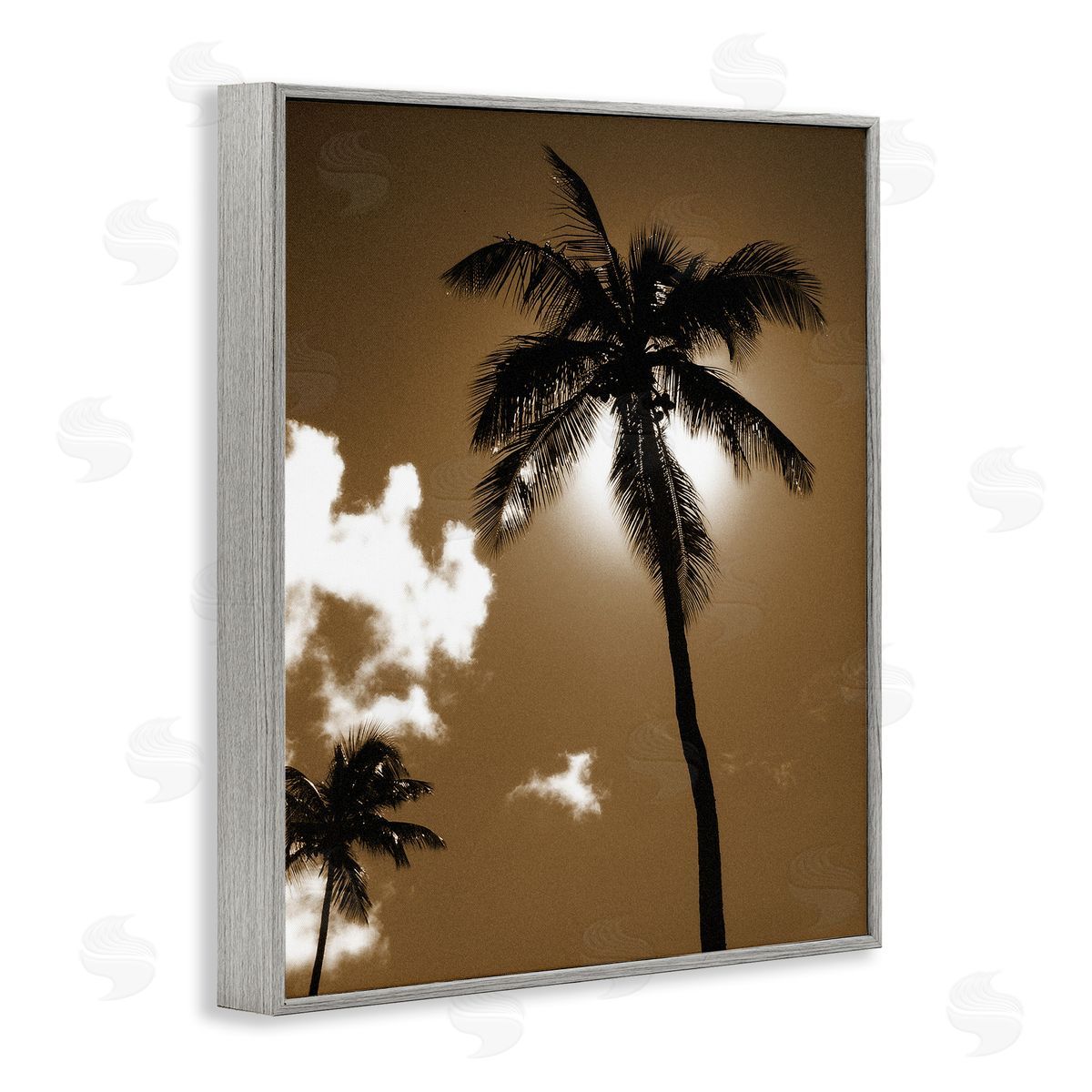 Sunlight Through Palms Grey Frame Print Wall Art, Home Decor by Noah Bay