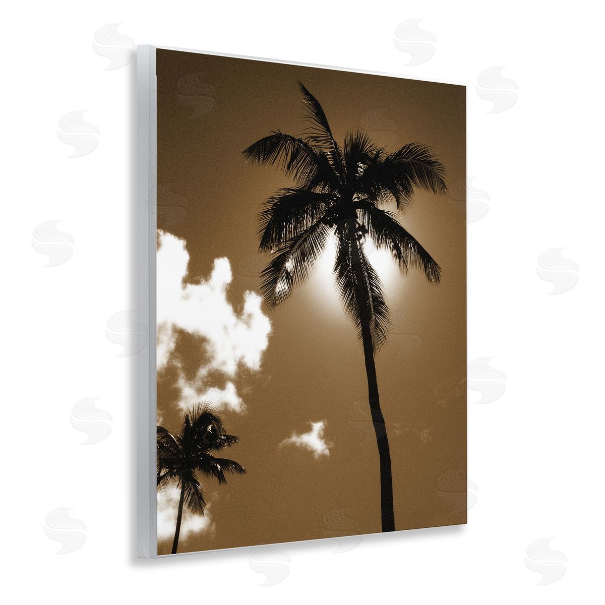 Sunlight Through Palms Wood Plaque Wall Art, Home Decor by Noah Bay