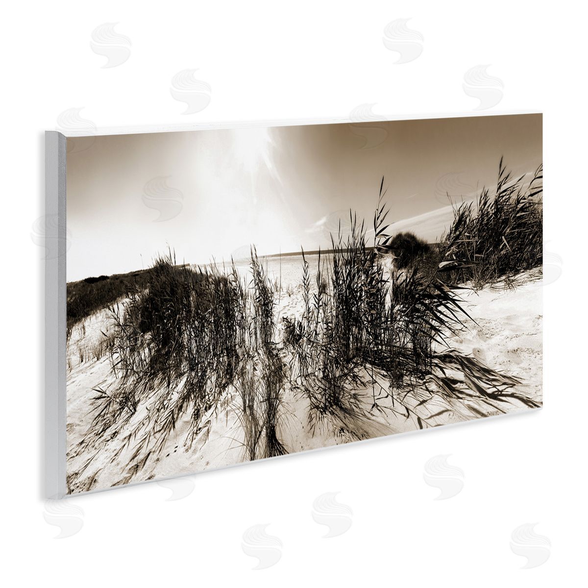 Wind In The Dunes Wood Plaque Wall Art, Home Decor by Noah Bay
