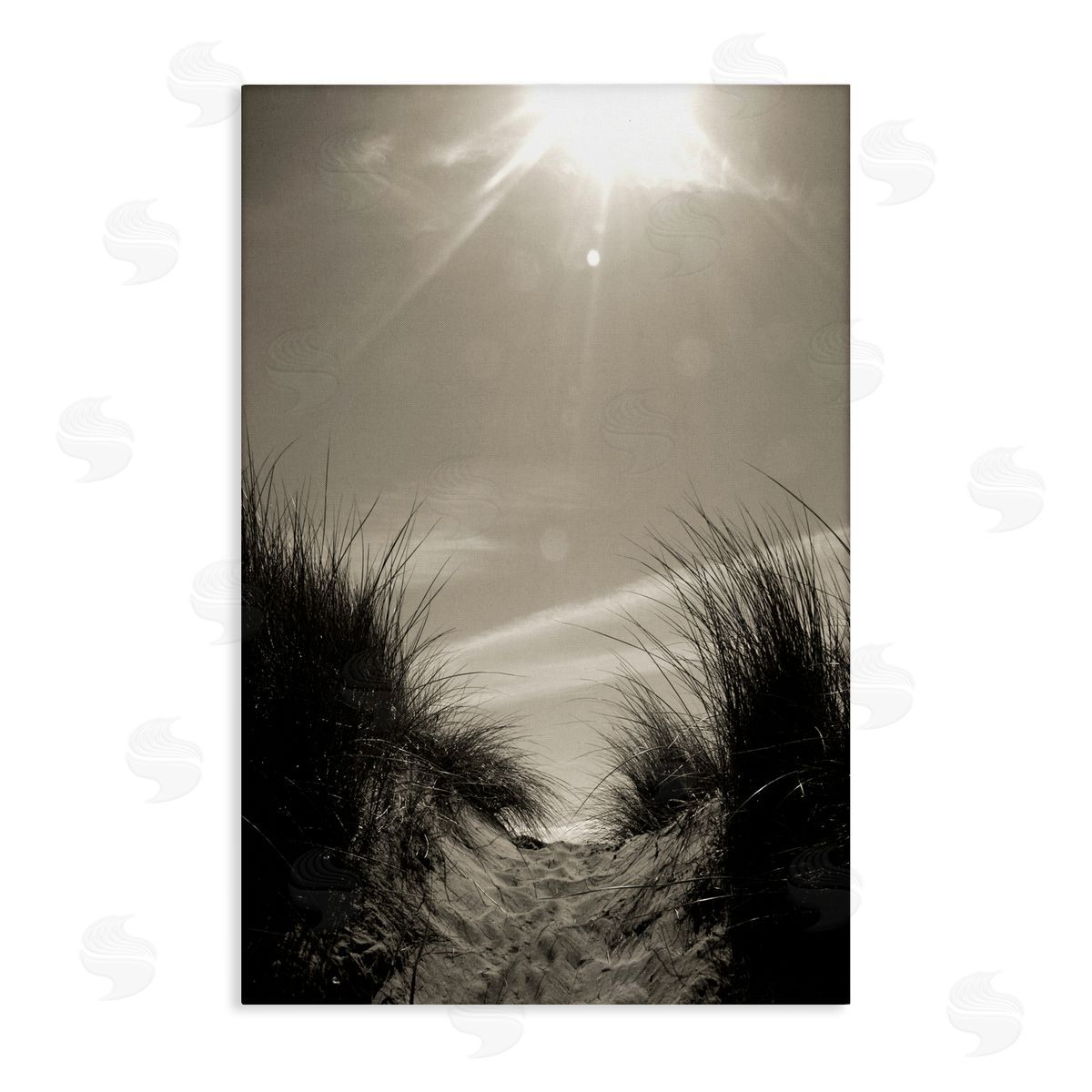 Dune Valley Landscape Canvas Wall Art, Home Decor by Noah Bay
