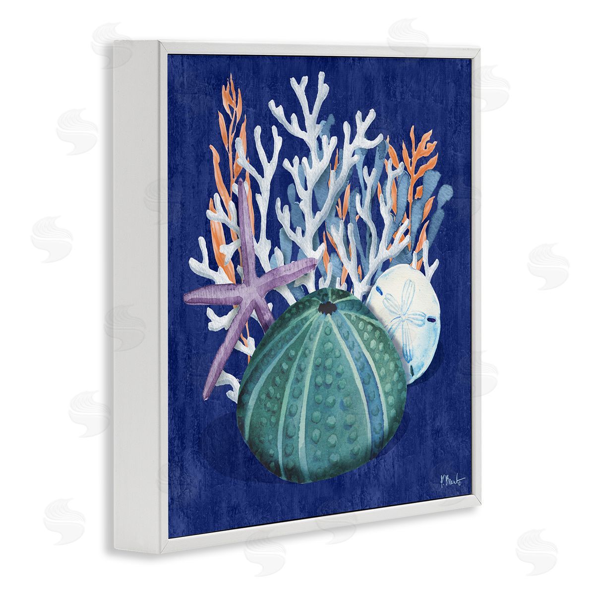 Monterey Urchin and Coral White Frame Print Wall Art, Home Decor by Paul Brent