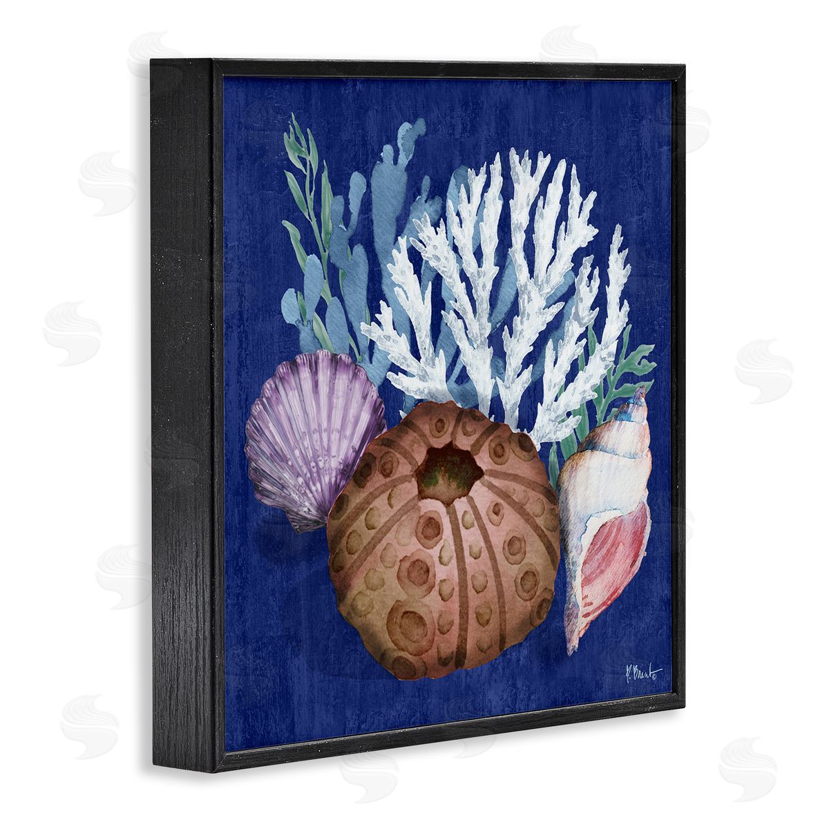Urchin and Coral Still Life Black Frame Print Wall Art, Home Decor by Paul Brent