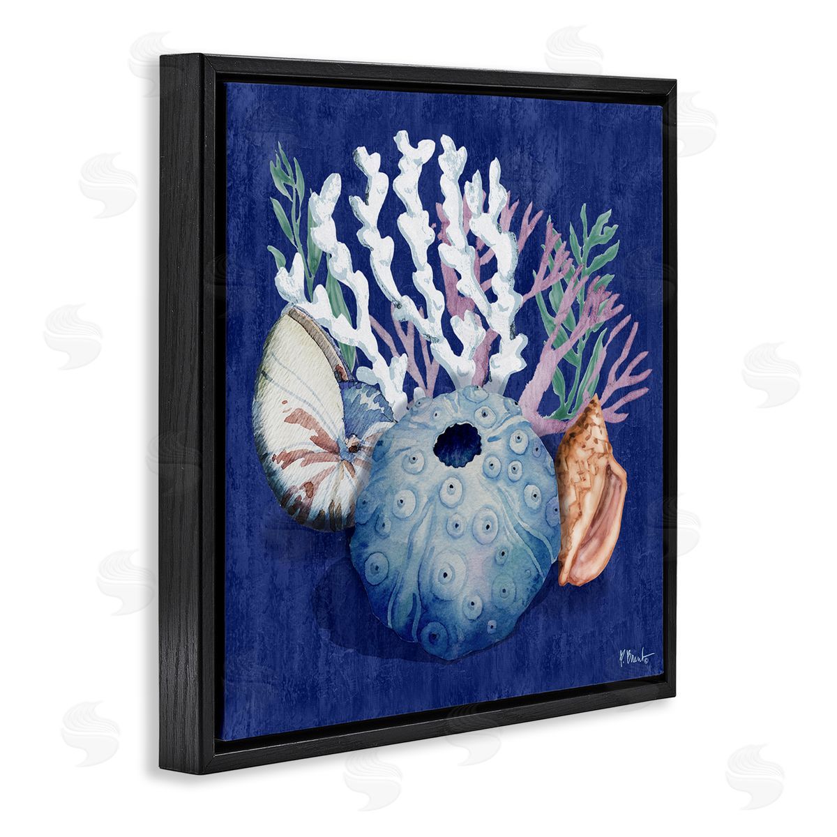 Sea Urchin and Coral Black Floating Frame Canvas Wall Art, Home Decor by Paul Brent