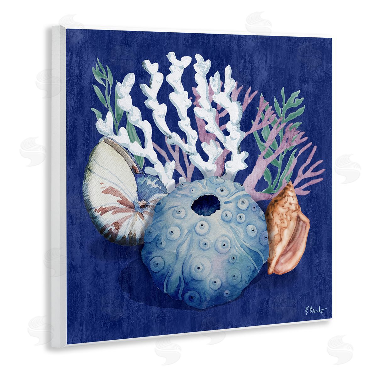 Sea Urchin and Coral Wood Plaque Wall Art, Home Decor by Paul Brent