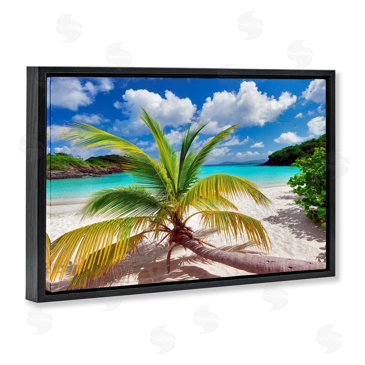 Palm Tree Across Beach Black Floating Frame Canvas Wall Art, Home Decor by Dennis Frates