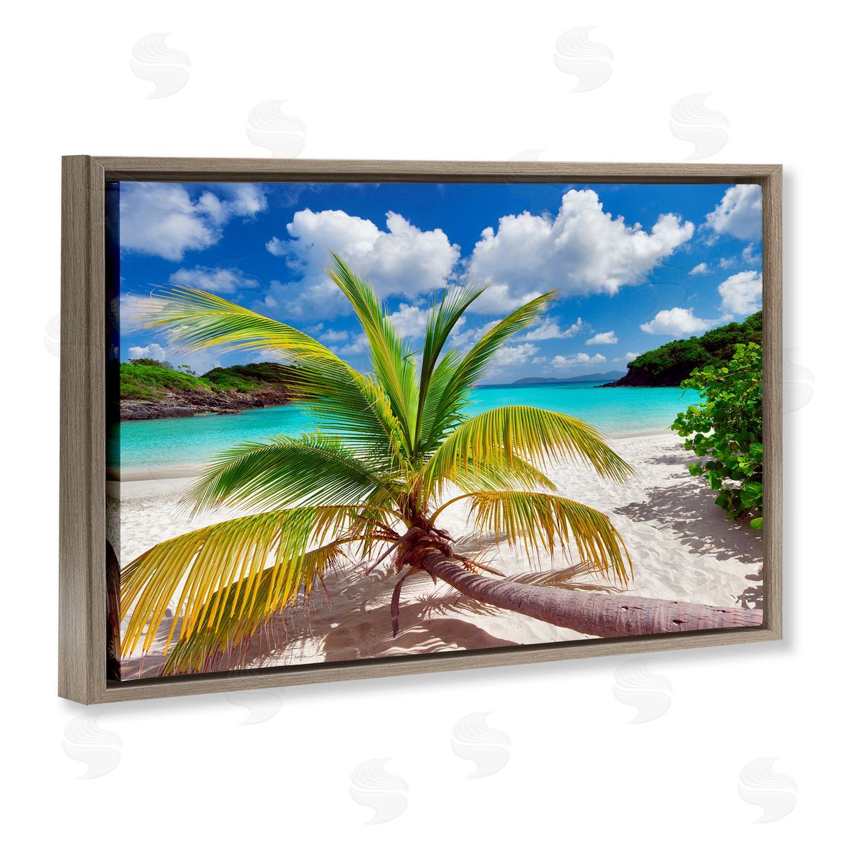 Palm Tree Across Beach Brown Floating Frame Canvas Wall Art, Home Decor by Dennis Frates