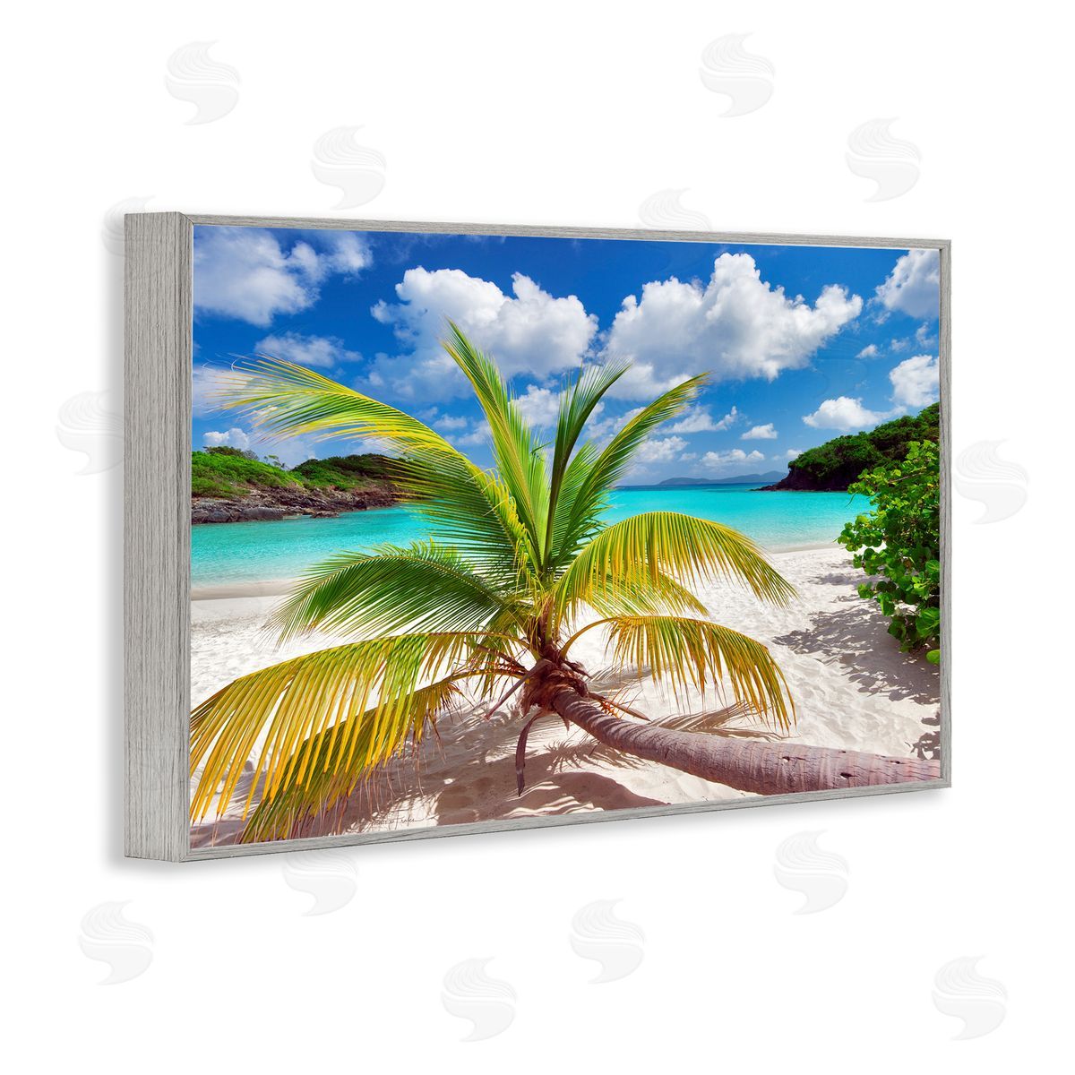 Palm Tree Across Beach Grey Frame Print Wall Art, Home Decor by Dennis Frates