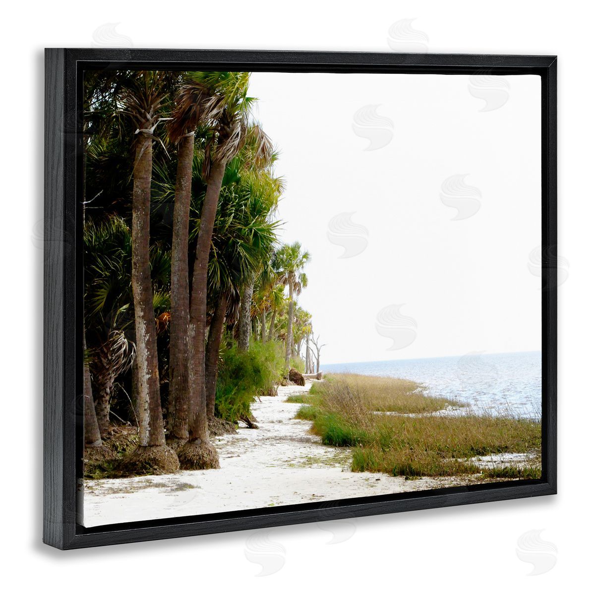 Palm Beach Path Black Floating Frame Canvas Wall Art, Home Decor by Gail Peck