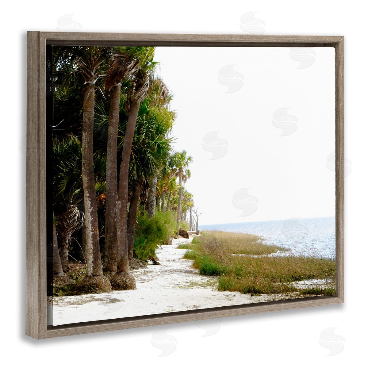 Palm Beach Path Brown Floating Frame Canvas Wall Art, Home Decor by Gail Peck