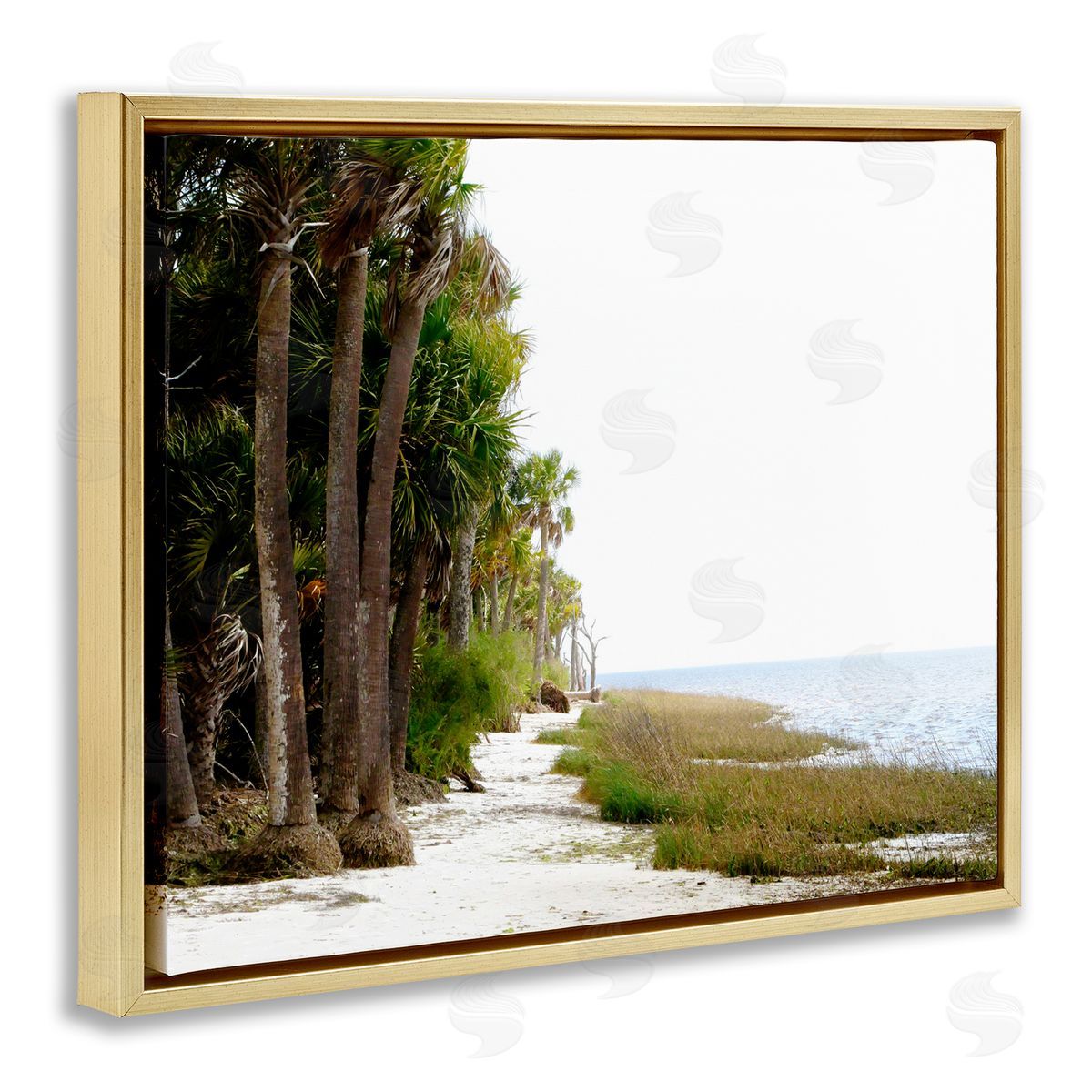 Palm Beach Path Gold Floating Frame Canvas Wall Art, Home Decor by Gail Peck