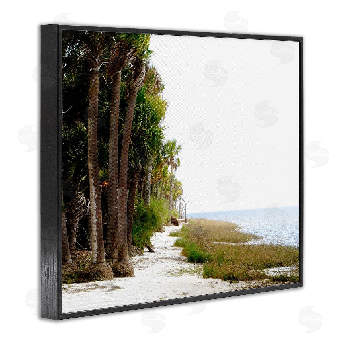 Palm Beach Path Black Frame Print Wall Art, Home Decor by Gail Peck