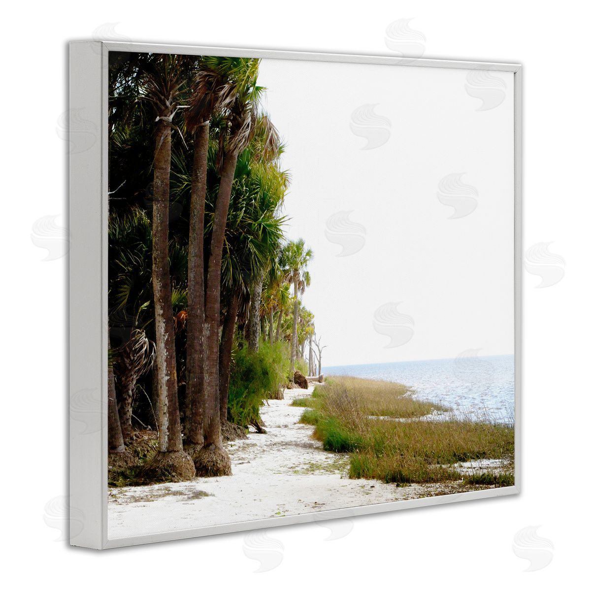 Palm Beach Path White Frame Print Wall Art, Home Decor by Gail Peck