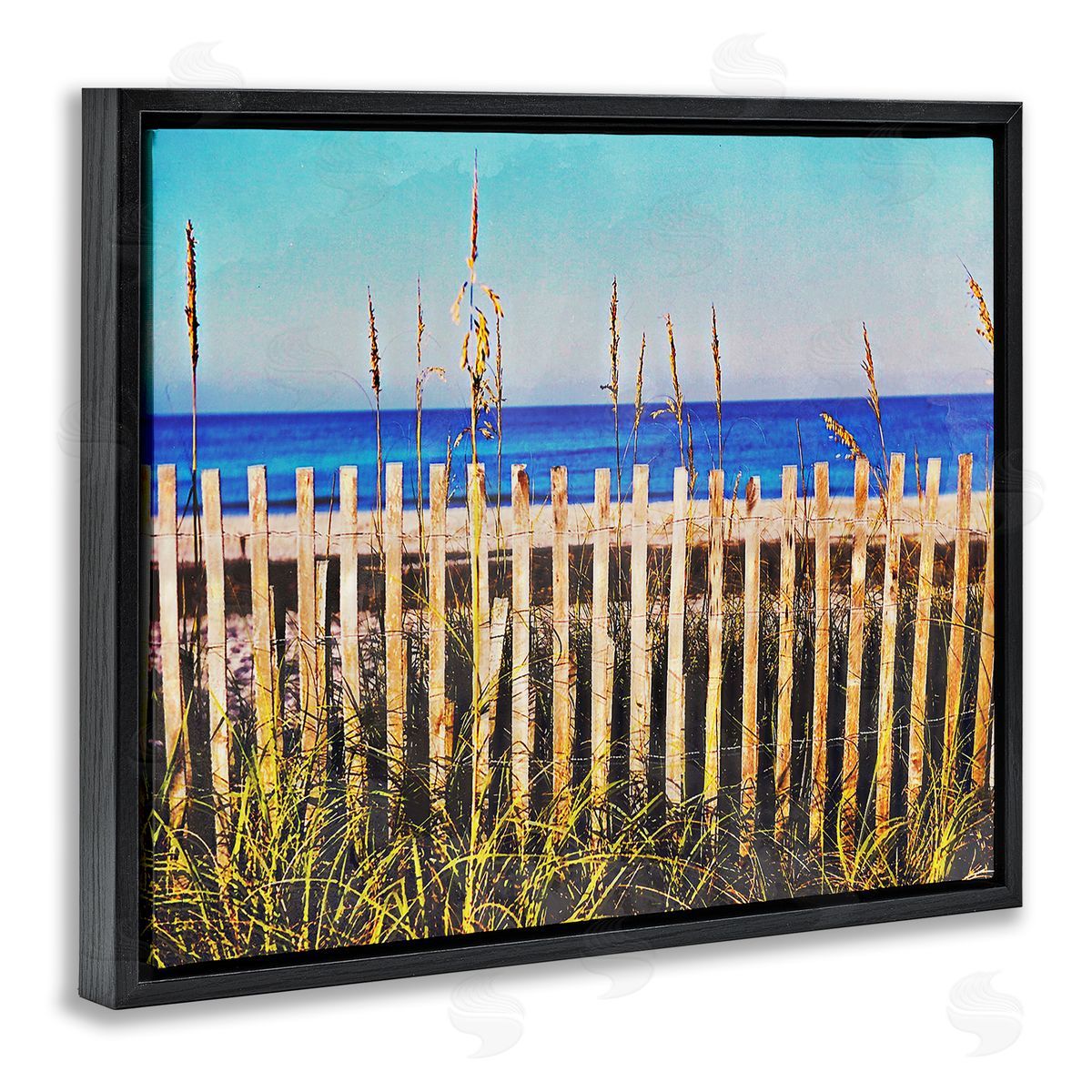Bill Carson Photography Florida Fenced Beach Black Floating Frame Canvas Wall Art Print